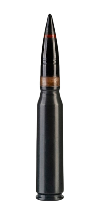 30x173mm Ammunition